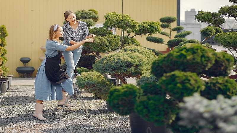 Transform Your Outdoor Space with mygardenandpatio