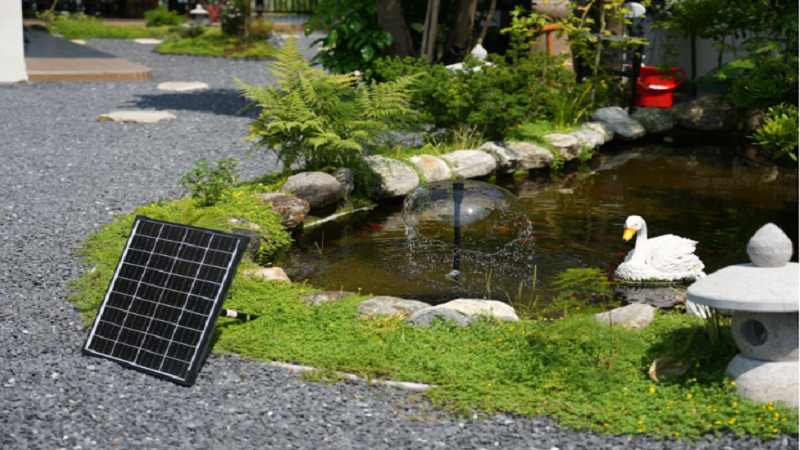 Easy Ways to Attract More Birds to Your Yard This Season